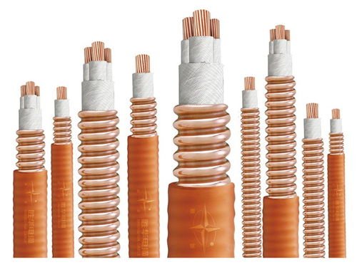 河南胜华电缆集团普通橡套线 绝缘导线的卓越性能解析